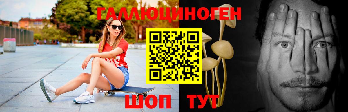 закладка  Вход с VPN  Артём  Галлюциногенные грибы Cubensis 