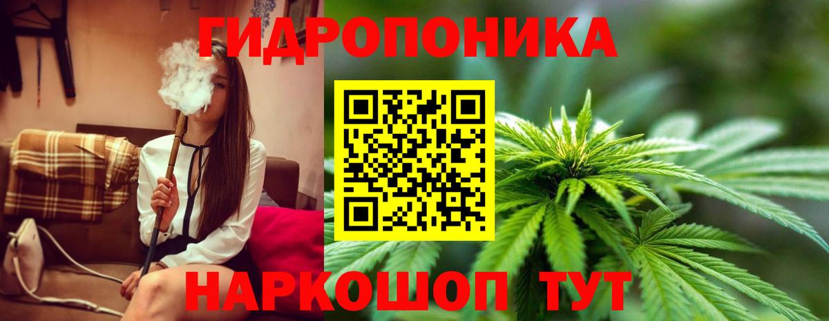 Бошки марихуана Amnesia  МАРИХУАНА ГИДРОПОН  Канабис ГИДРОПОН  Артём  Вход с VPN 